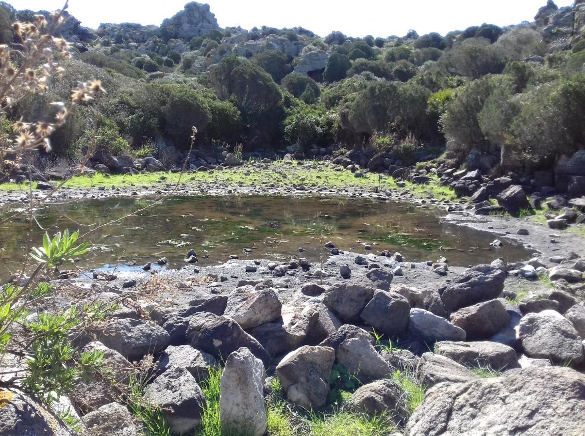 SantʼAntìoco B & B Il Mirto 2 מראה חיצוני תמונה