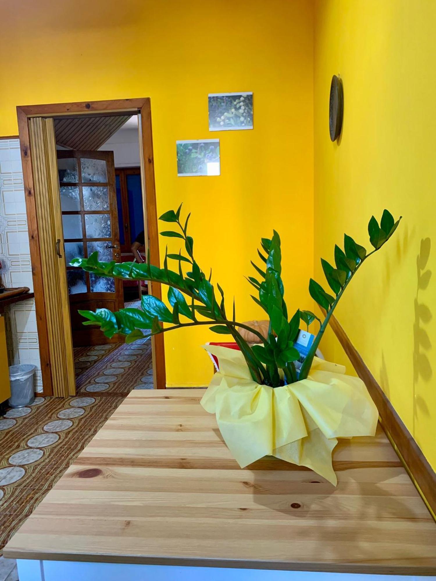 SantʼAntìoco B & B Il Mirto 2 מראה חיצוני תמונה